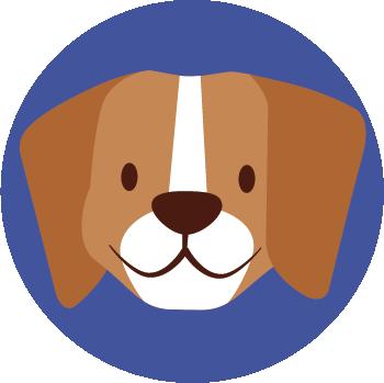 artículos para perros | casa transportadora para perros | juguetes para perros | petygo