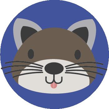 artículos para gatos | petygo