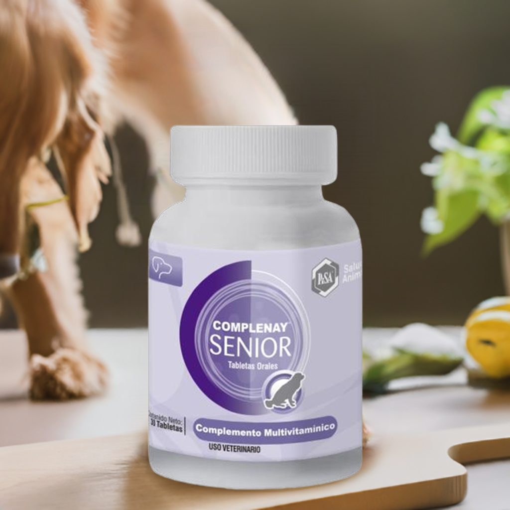 petygo | pisa | vitaminas perro