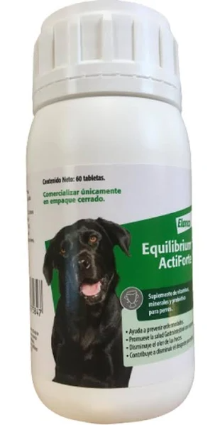 Equilibrium Actiforte