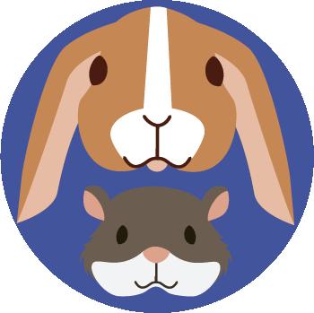 pequeños mamíferos | erbos | cuyos | conejos | hámsters | hurones | pequeños roedores | petygo