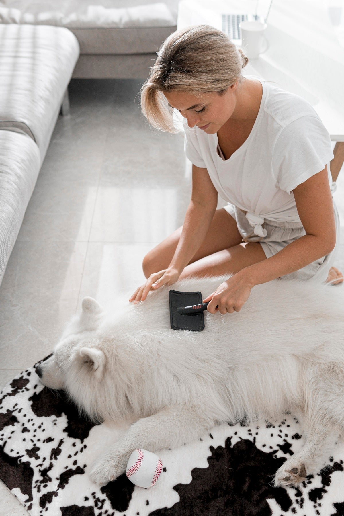 higiene para perros | petygo