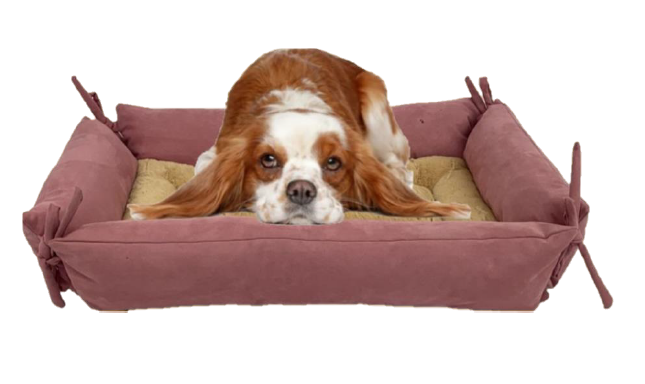 camas para mascotas | camas para perros | cama antiestres perros | cama para gatos | roommie pets | petygo