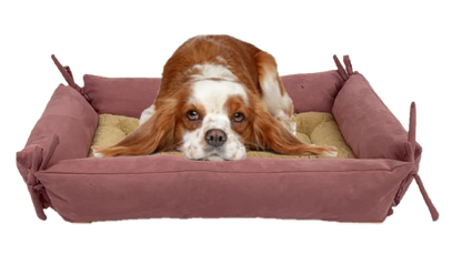 camas para mascotas | camas para perros | cama antiestres perros | cama para gatos | roommie pets | petygo