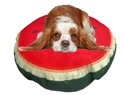 camas para mascotas | camas para perros | cama antiestres perros | cama para gatos | roommie pets | petygo