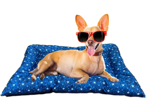 camas para mascotas | camas para perros | cama antiestres perros | cama para gatos | roommie pets | petygo