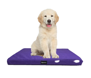 camas para mascotas | camas para perros | cama antiestres perros | cama para gatos | roommie pets | petygo