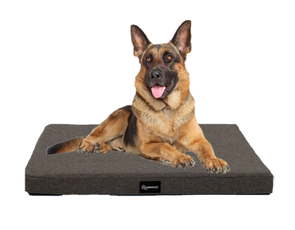 camas para mascotas | camas para perros | cama antiestres perros | cama para gatos | roommie pets | petygo