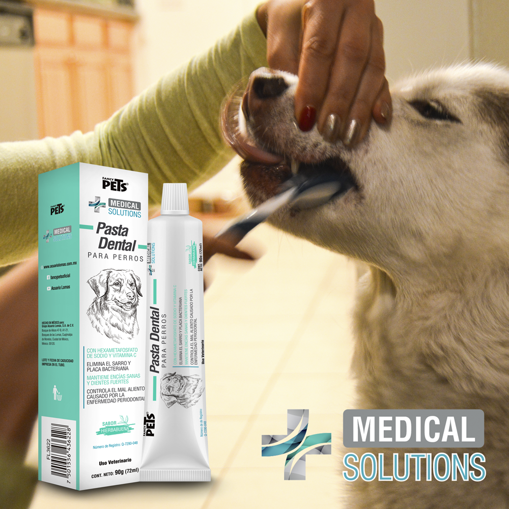 limpieza dental para perros | limpieza dental canina | medical solutions | petygo