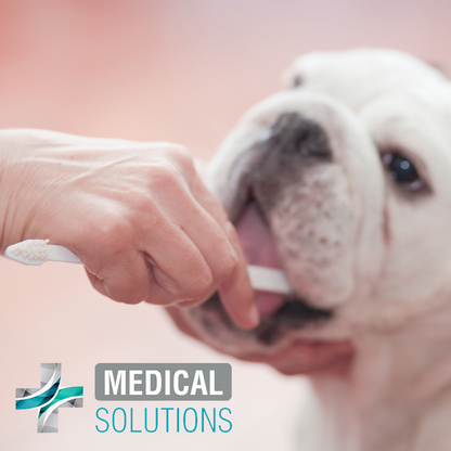 limpieza dental para perros | limpieza dental canina | medical solutions | petygo