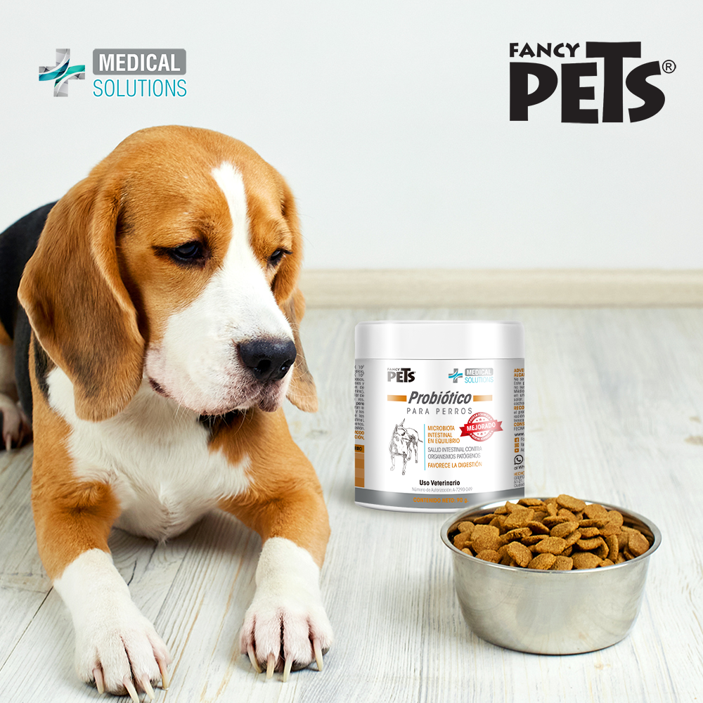 petygo | probioticos para perros | probioticos para perros naturales | probioticos naturales para perros | prebioticos y probioticos para perros