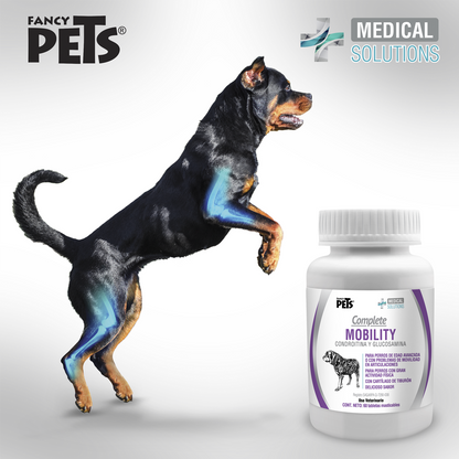 suplementos para gatos | vitaminas para gatos | multivitaminico para gatos | suplemento alimenticio para gatos | medical solutions | fancy pets | petygo