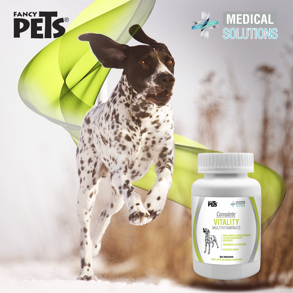 suplementos para gatos | vitaminas para gatos | multivitaminico para gatos | suplemento alimenticio para gatos | medical solutions | fancy pets | petygo