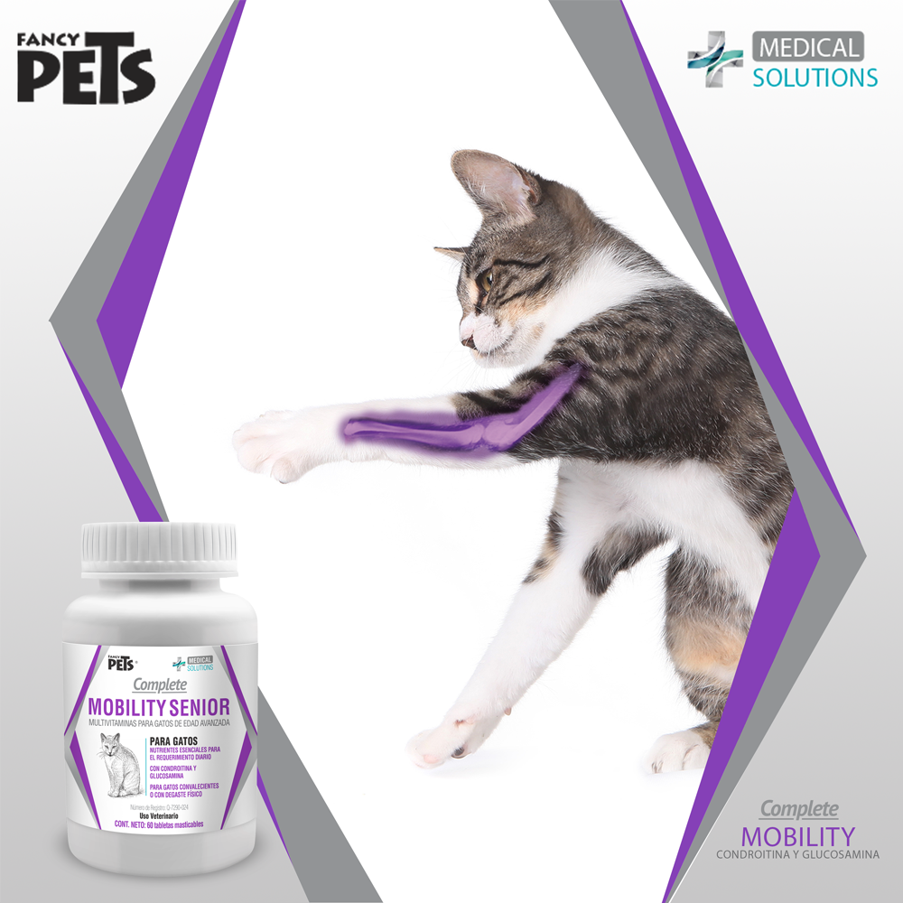 suplementos para gatos | vitaminas para gatos | multivitaminico para gatos | suplemento alimenticio para gatos | medical solutions | fancy pets | petygo