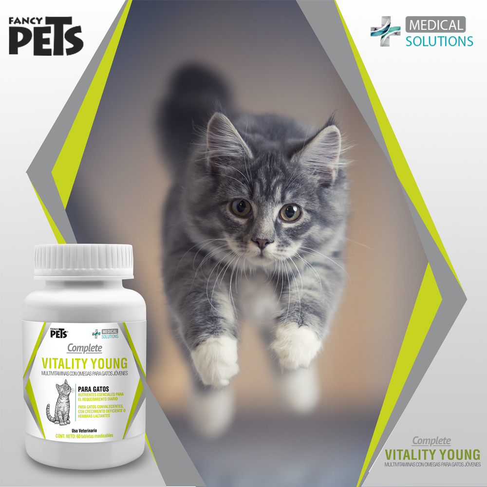 suplementos para gatos | vitaminas para gatos | multivitaminico para gatos | suplemento alimenticio para gatos | medical solutions | fancy pets | petygo