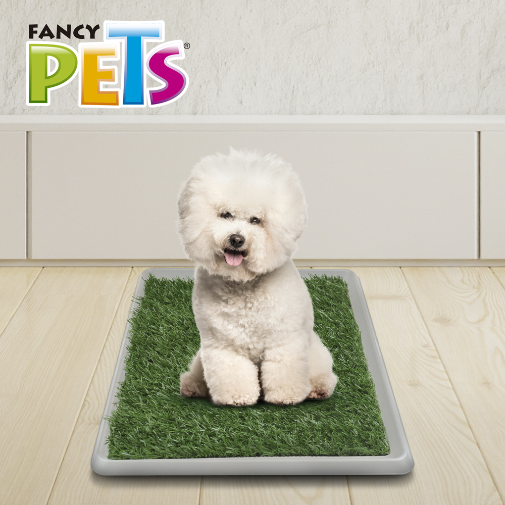 tapete entrenador para perros | fancy pets | petygo