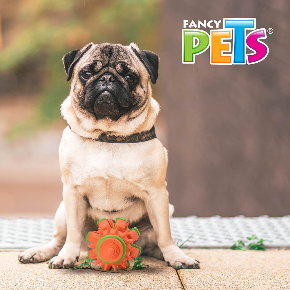 juguete para perro, fancy pets, petygo