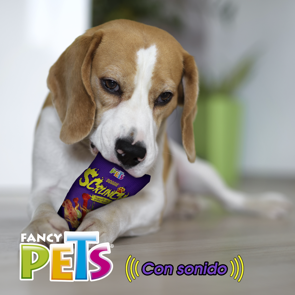 juguete para perro, fancy pets, petygo