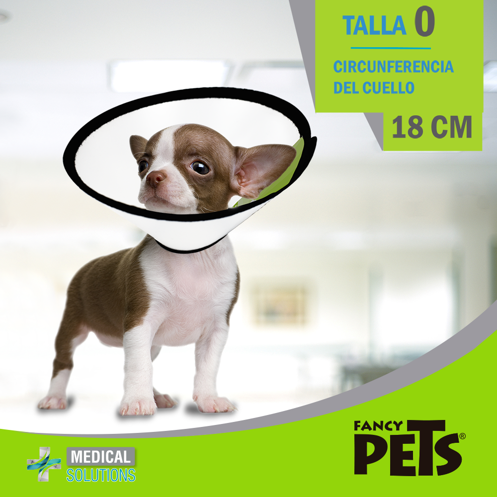 petygo | collar isabelino para perros casero | dona isabelina para perro | collar de la vergüenza | collar isabelino gatos casero | dona isabelina para gatos | medical solutions