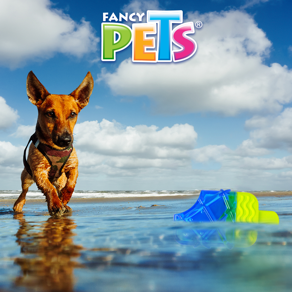 juguete para perro, fancy pets, petygo