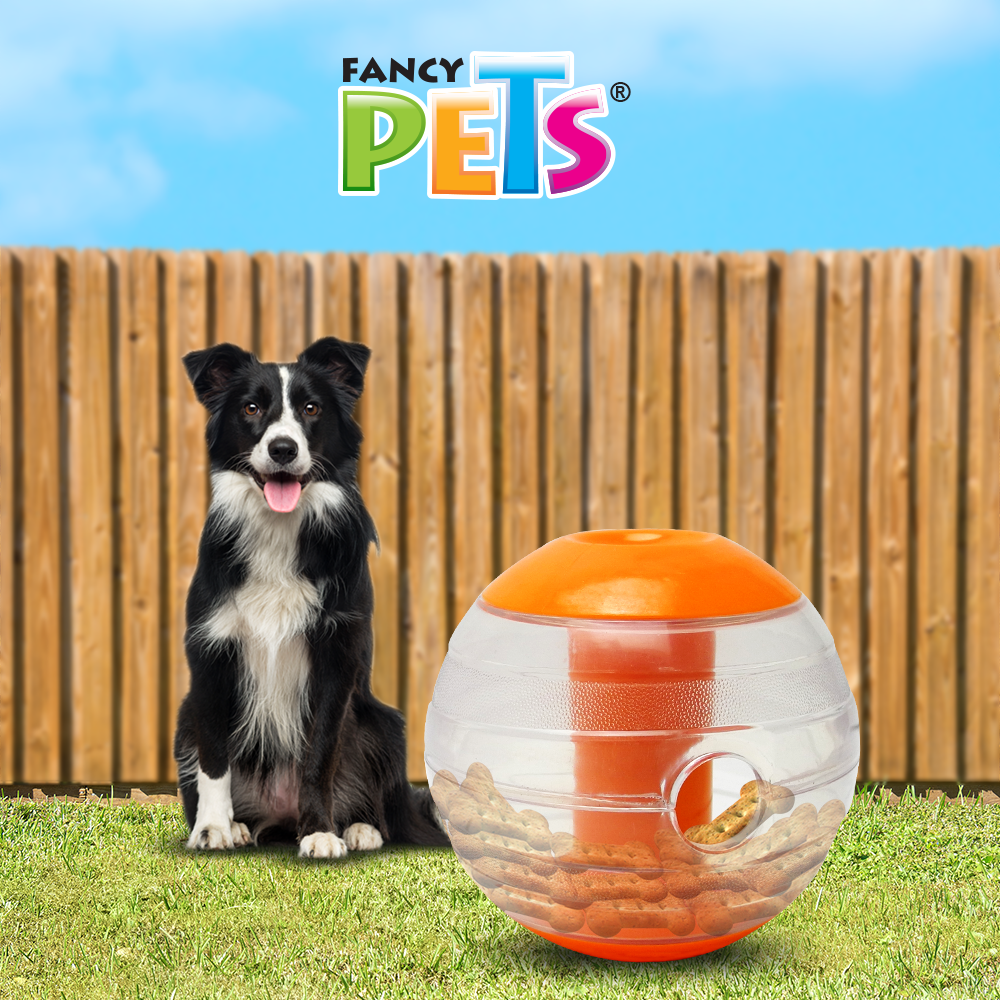 juguete para perro, fancy pets, petygo