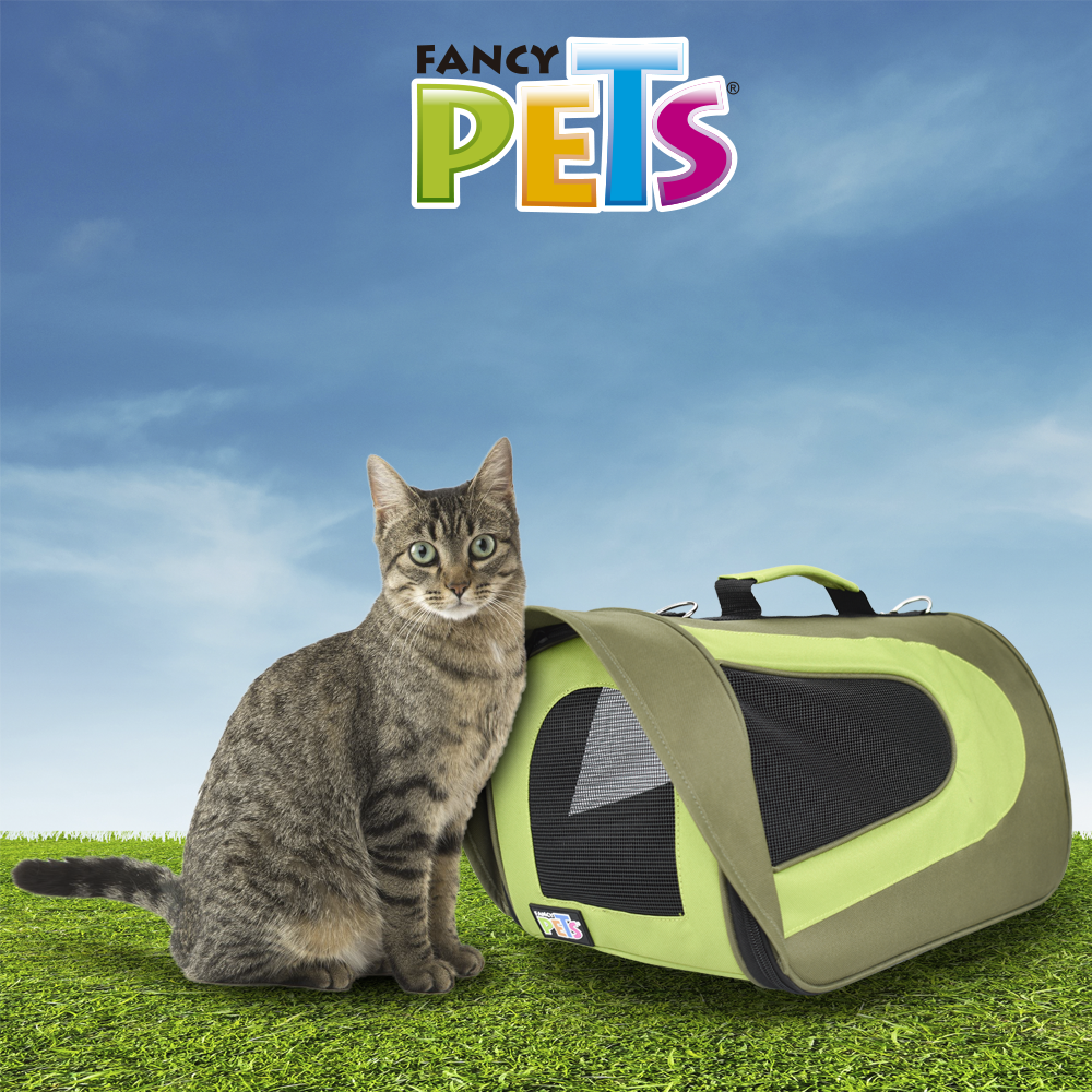 petygo | mochila para transportar perros | transportadoras para perros baratas | caja para transportar perros | bolso para transportar perros | casas transportadoras para perro | como transportar a un perro en avion | fancy pets