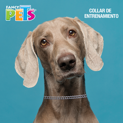 collar de entrenamiento para perros | collar de adiestramiento para perros | collar para entrenar perros | fancy pets | petygo