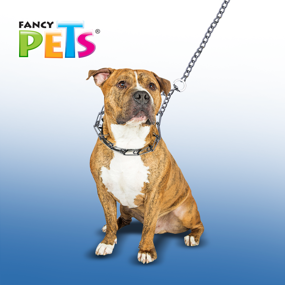 collar de entrenamiento para perros | collar de adiestramiento para perros | collar para entrenar perros | fancy pets | petygo