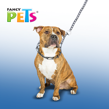 collar de entrenamiento para perros | collar de adiestramiento para perros | collar para entrenar perros | fancy pets | petygo