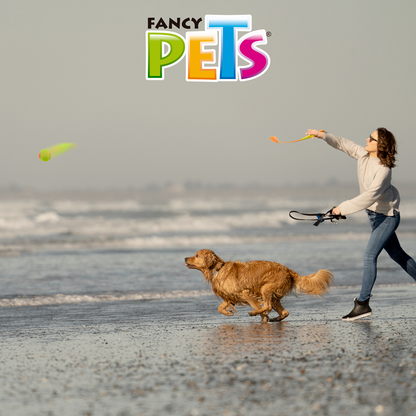 juguete para perro, fancy pets, petygo