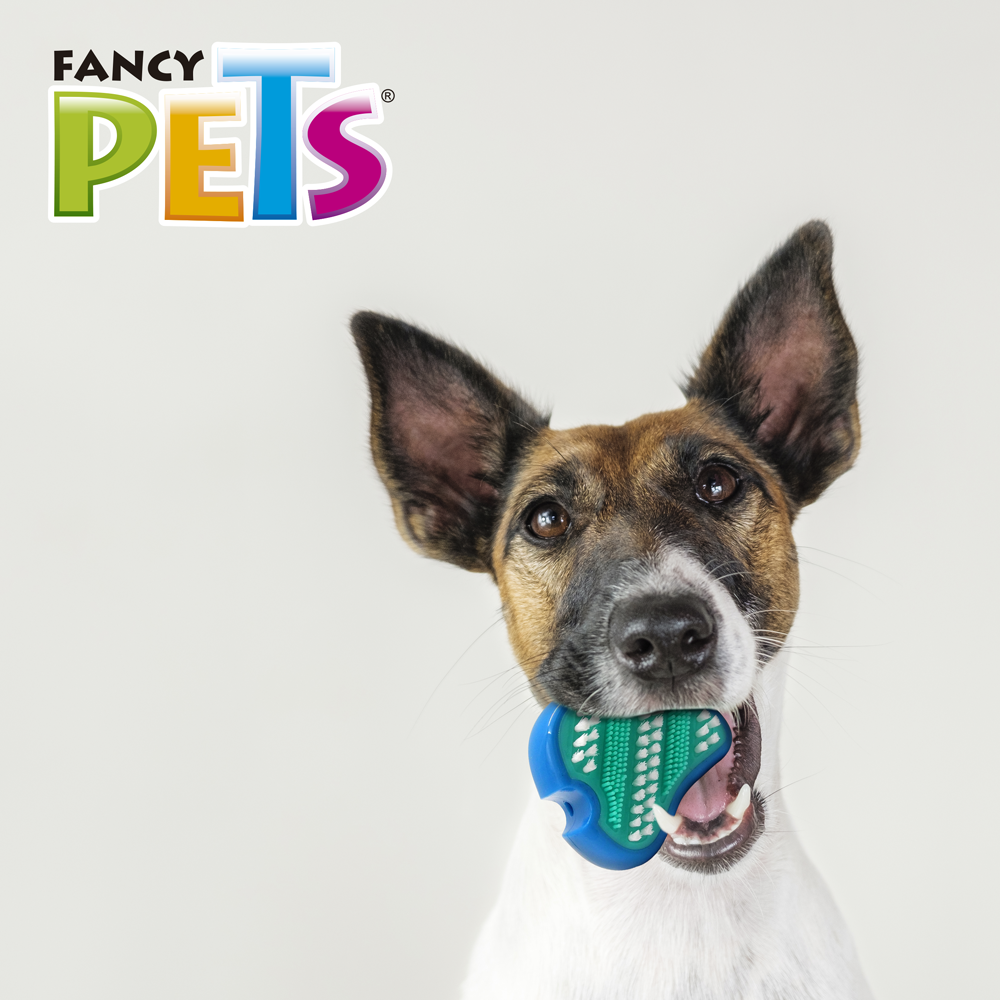 Juguete clearance dental perro