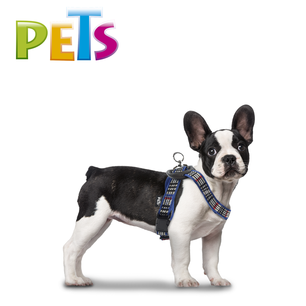 arnes para mascotas | arnes para perros | pechera para perros | cinturon de seguridad para perros | pechera para gatos | fancy pets | petygo