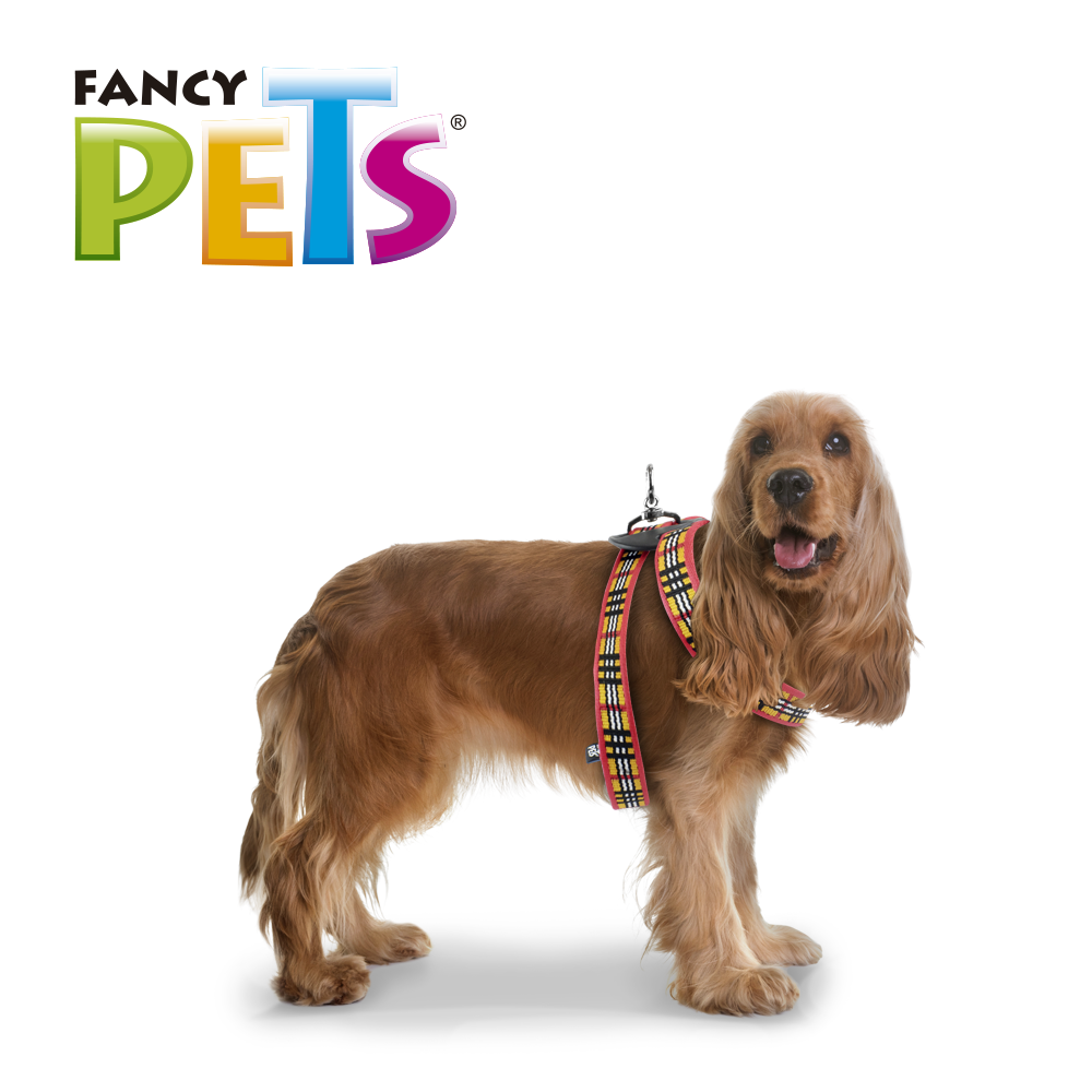 arnes para mascotas | arnes para perros | pechera para perros | cinturon de seguridad para perros | pechera para gatos | fancy pets | petygo