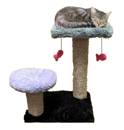 rascador para gatos, mueble para gatos, roommie pets, petygo