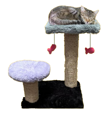 rascador para gatos, mueble para gatos, roommie pets, petygo