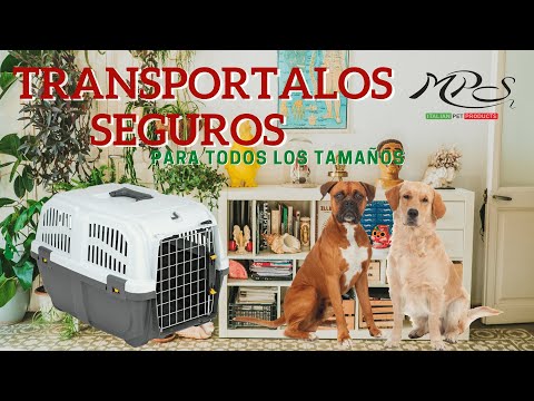 petygo | mochila para transportar perros | transportadoras para perros baratas | caja para transportar perros | bolso para transportar perros | casas transportadoras para perro | como transportar a un perro en avion | mps