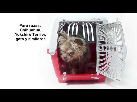 transportadora para mascotas | casa | perro | gato | fancy pets | petygo