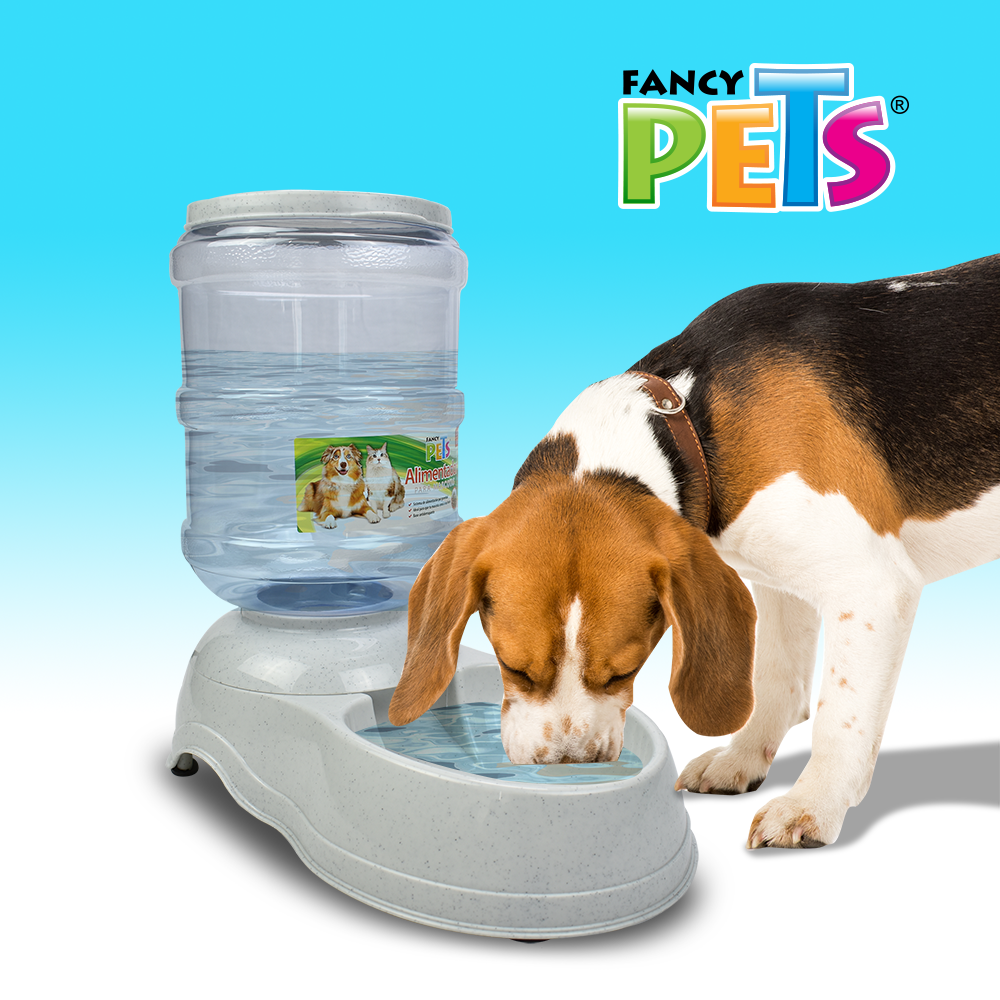 alimentador para perro | fancy pets | dispensador | petygo