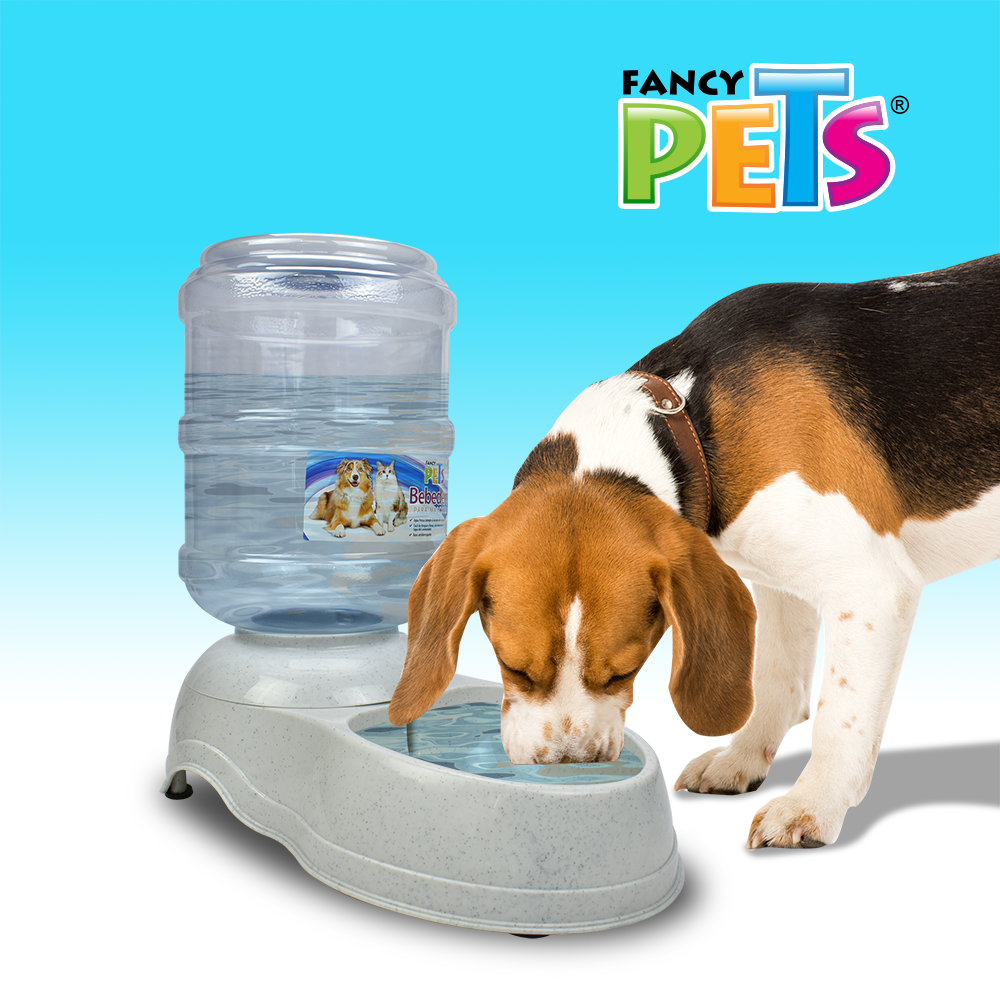  Dispensador de agua grande para perros, bebedero