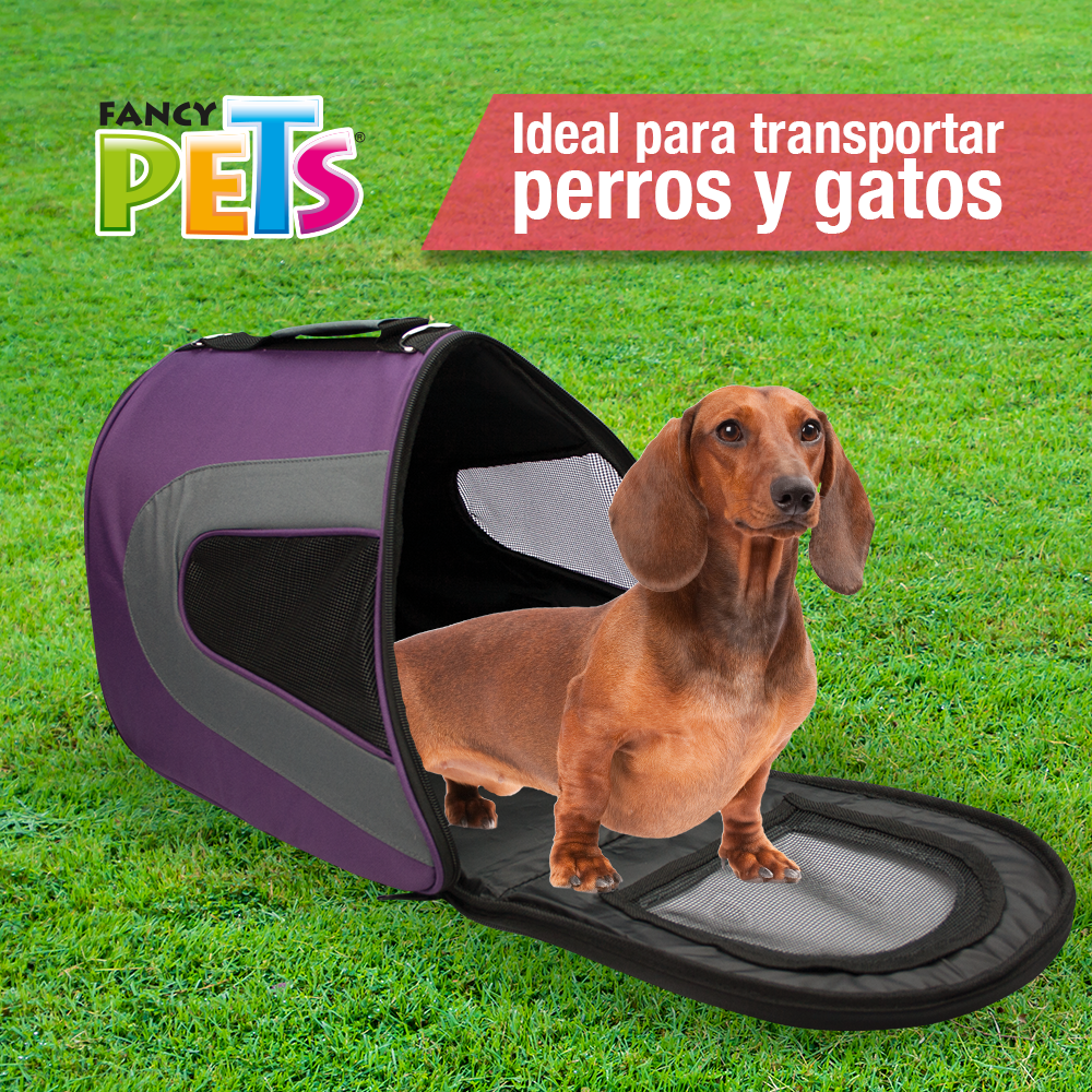 petygo | mochila para transportar perros | transportadoras para perros baratas | caja para transportar perros | bolso para transportar perros | casas transportadoras para perro | como transportar a un perro en avion | fancy pets