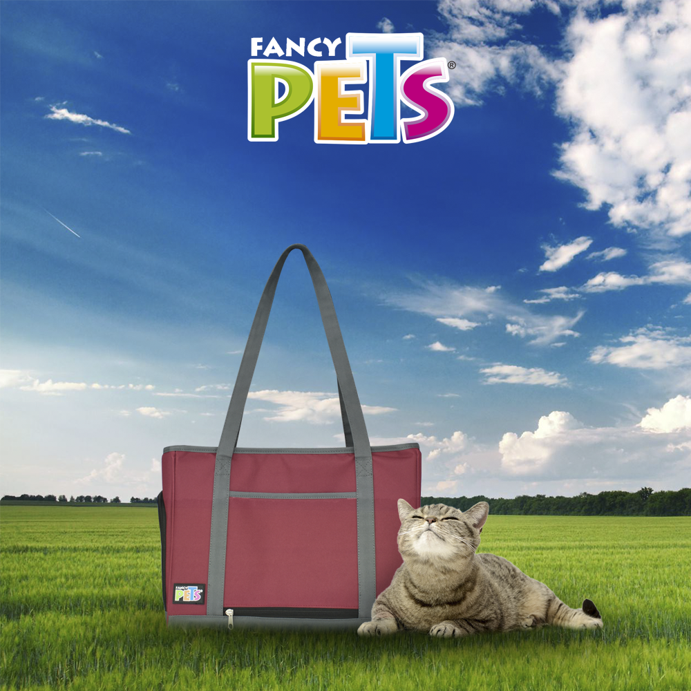 petygo | mochila para transportar perros | transportadoras para perros baratas | caja para transportar perros | bolso para transportar perros | casas transportadoras para perro | como transportar a un perro en avion | fancy pets