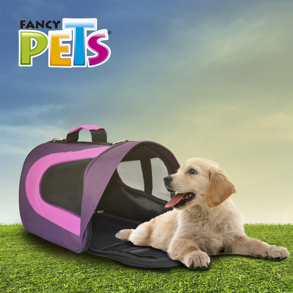 petygo | mochila para transportar perros | transportadoras para perros baratas | caja para transportar perros | bolso para transportar perros | casas transportadoras para perro | como transportar a un perro en avion | fancy pets