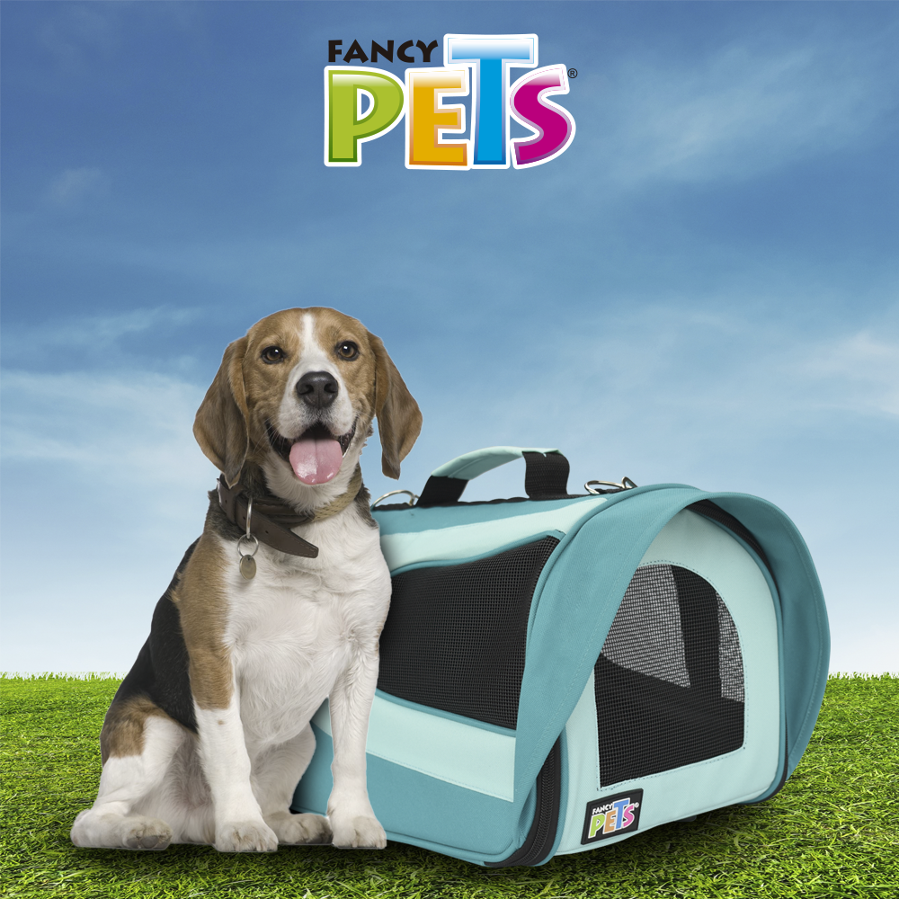 petygo | mochila para transportar perros | transportadoras para perros baratas | caja para transportar perros | bolso para transportar perros | casas transportadoras para perro | como transportar a un perro en avion | fancy pets