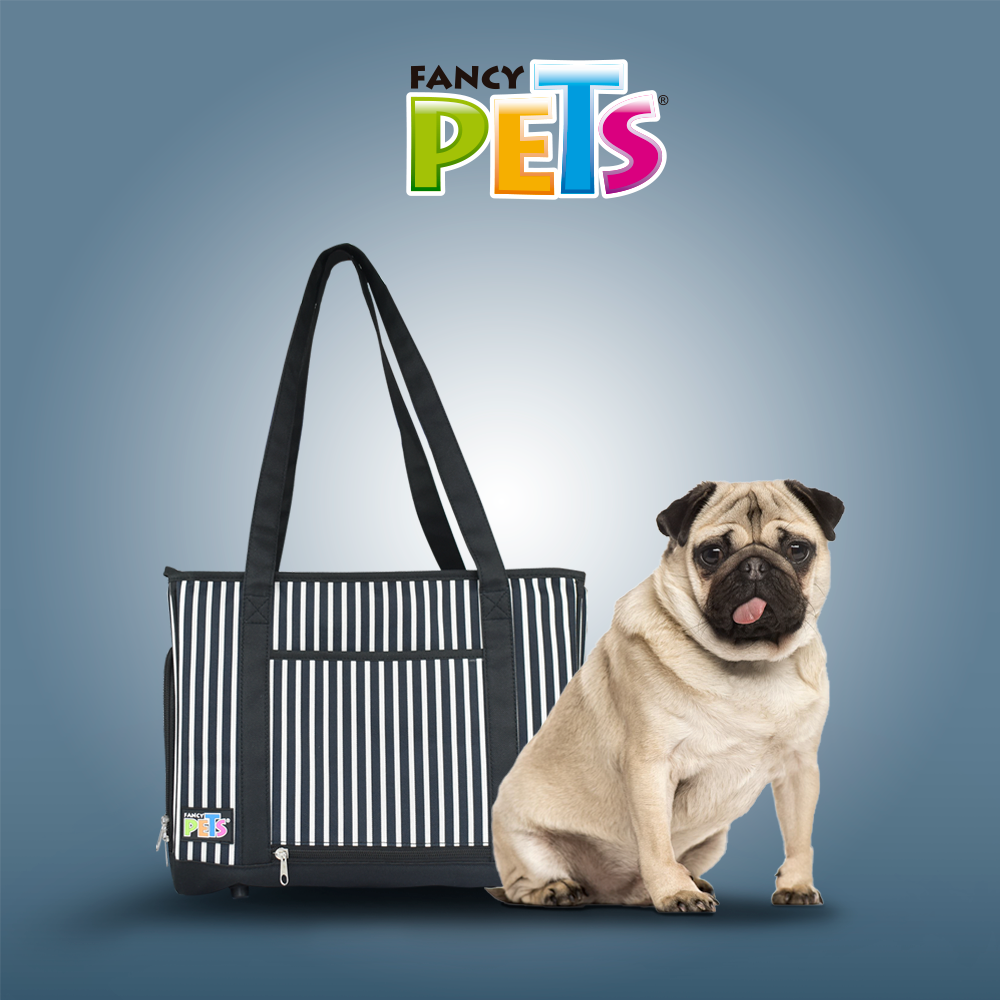 petygo | mochila para transportar perros | transportadoras para perros baratas | caja para transportar perros | bolso para transportar perros | casas transportadoras para perro | como transportar a un perro en avion | fancy pets