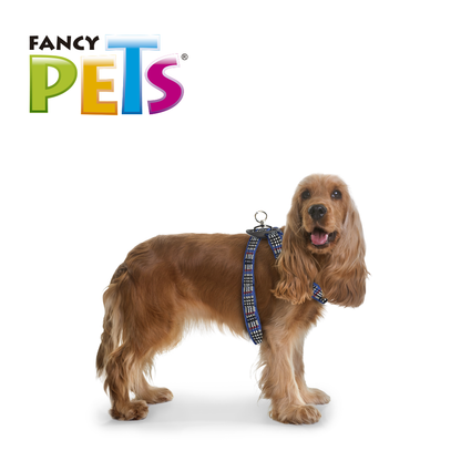 arnes para mascotas | arnes para perros | pechera para perros | cinturon de seguridad para perros | pechera para gatos | fancy pets | petygo