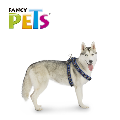 arnes para mascotas | arnes para perros | pechera para perros | cinturon de seguridad para perros | pechera para gatos | fancy pets | petygo