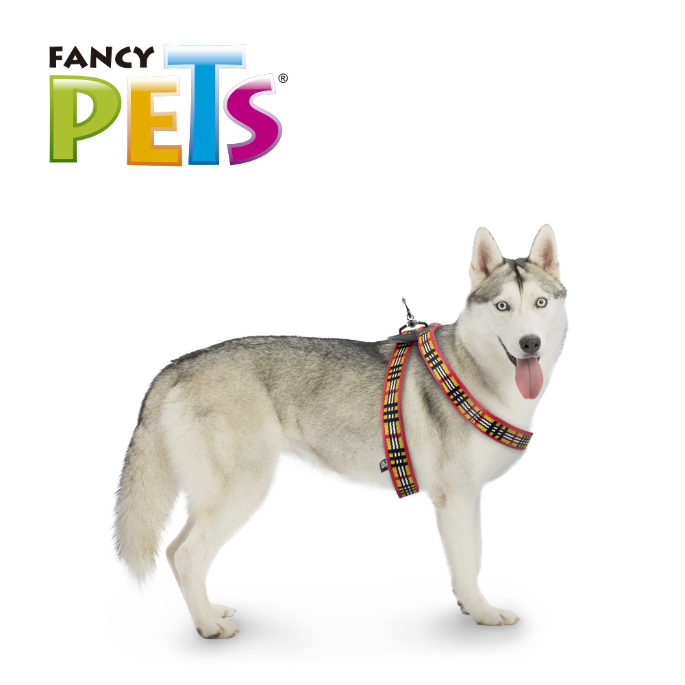 arnes para mascotas | arnes para perros | pechera para perros | cinturon de seguridad para perros | pechera para gatos | fancy pets | petygo