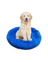 camas para mascotas | camas para perros | cama antiestres perros | cama para gatos | roommie pets | petygo