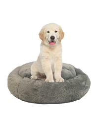 camas para mascotas | camas para perros | cama antiestres perros | cama para gatos | roommie pets | petygo