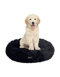 camas para mascotas | camas para perros | cama antiestres perros | cama para gatos | roommie pets | petygo